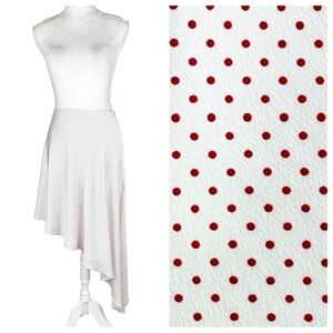Alexis red dotted asymmetric Kadir skirt sz small silky flowy Revolve